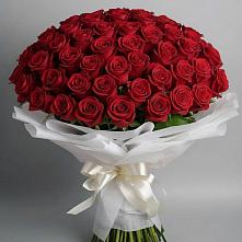 Букет 101 Красная роза Блэк Мэджик в Шабровском