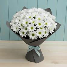 Букет цветов из:  Хризантемы #REPLACE_PRED# Шабровском