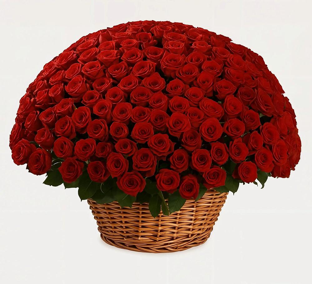 Премиум букет из: Розы в Шабровском