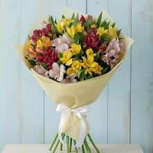 Букет цветов из:  Альстромерии #REPLACE_PRED# Шабровском